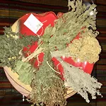 Konukevi Antica Potecaria
