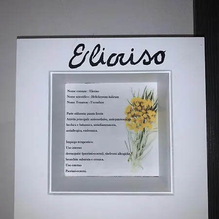 Antica Potecaria Maison d'hôtes