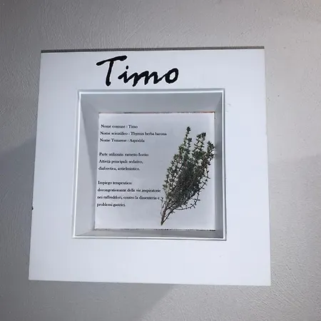 Antica Potecaria Maison d'hôtes