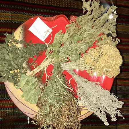 Affittacamere Antica Potecarìa