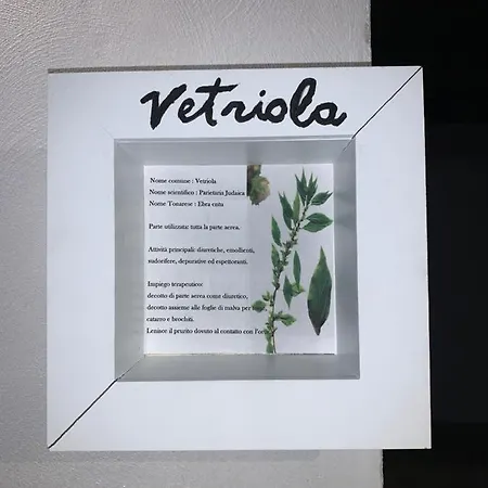 Antica Potecaria *