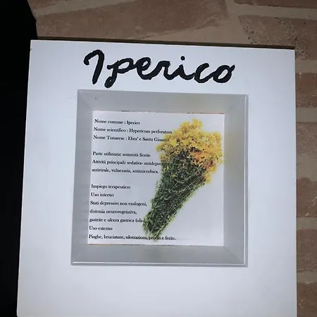 Antica Potecaria 3* Tonara